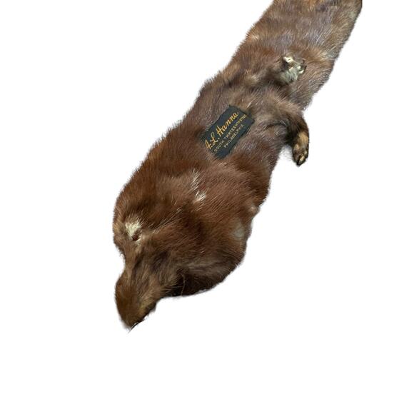 TANNED MINK PELT 29” Scarf Drape Stole Wrap Collar Natural Leather Taxidermy - Picture 9 of 16